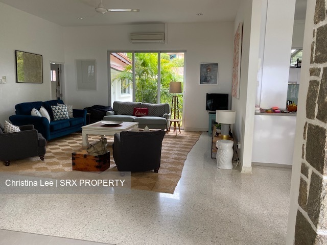 Raffles Park (D11), Detached #572625511